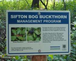 At the time of the First World War, the area was a supplier of sphagnum moss which was mined from the area. Also, a native plant of this area named Al